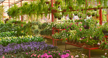 Floriculturas
